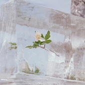 Thumbnail for the Efterklang - Dragonfly link, provided by host site