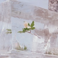 Thumbnail for the Efterklang - Dragonfly link, provided by host site
