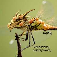 Thumbnail for the Gypsy - Dragonfly Superpower link, provided by host site