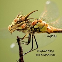 Thumbnail for the Gypsy - Dragonfly Superpower link, provided by host site