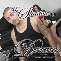 Thumbnail for the Mr. Shadow - Drama link, provided by host site