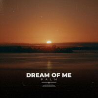 Thumbnail for the Palm - Dream Of Me link, provided by host site