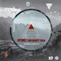 Thumbnail for the Ritmo - Dream & Reality (Mr.What? Remix) link, provided by host site