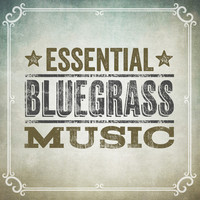Thumbnail for the The Infamous Stringdusters - Dream You Back link, provided by host site