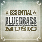 Thumbnail for the The Infamous Stringdusters - Dream You Back link, provided by host site