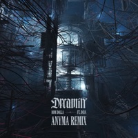 Thumbnail for the Dom Dolla - Dreamin [Anyma Remix] link, provided by host site