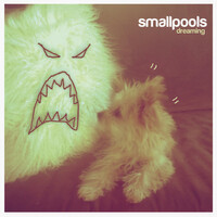 Thumbnail for the Smallpools - Dreaming link, provided by host site