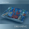 Thumbnail for the David Palmer - Dreaming link, provided by host site