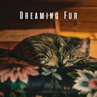 Thumbnail for the Joshua Tree - Dreaming Fur: Chill Music for Cats' Rest link, provided by host site