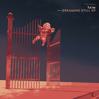 Thumbnail for the Taim - Dreaming Still link, provided by host site