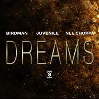 Thumbnail for the Birdman - Dreams link, provided by host site