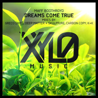 Thumbnail for the Maff Boothroyd - Dreams Come True link, provided by host site