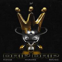 Thumbnail for the R3hab - Drip Drip link, provided by host site