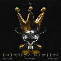 Thumbnail for the R3hab - Drip Drip link, provided by host site