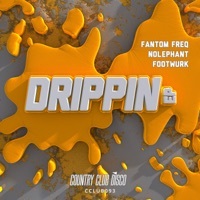 Thumbnail for the Fantom Freq - Drippin' link, provided by host site