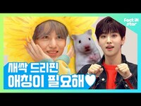 Thumbnail for the Drippin - 새싹 드리핀(DRIPPIN)에게는 애칭이 필요해♥ 울림 프리패스 상 우리 엄마사위는 누구..? link, provided by host site