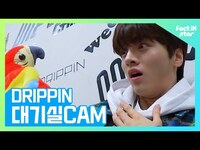 Thumbnail for the MAX - 흥 게이지 흥망진창 드리핀(DRIPPIN) 대기실CAM link, provided by host site