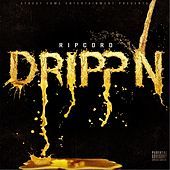 Thumbnail for the Ripcord - Drippn' link, provided by host site