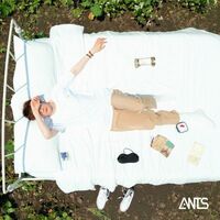 Thumbnail for the The Ants - Driving with you link, provided by host site