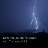 Thumbnail for the Reading and Studying Music - Drizzling Sounds for Study with Thunder Vol. 1 link, provided by host site