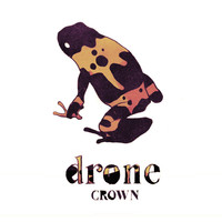 Thumbnail for the Crown - Drone link, provided by host site