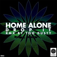 Thumbnail for the Home Alone - Drop It link, provided by host site
