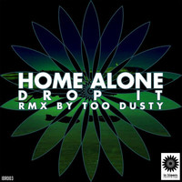 Thumbnail for the Home Alone - Drop It link, provided by host site