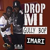 Thumbnail for the Gully Bop - Drop Mi link, provided by host site