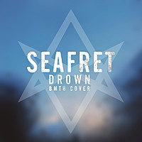 Thumbnail for the Seafret - Drown link, provided by host site