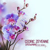 Thumbnail for the Cedric Zeyenne - Drowning [Remixes] link, provided by host site