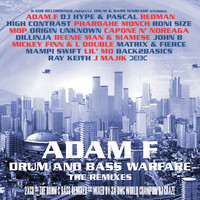 Thumbnail for the Adam F - Drum and Bass Warfare - Disc 1: The Remixes link, provided by host site