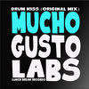 Thumbnail for the Gustolabs - Drum Kiss link, provided by host site