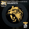 Thumbnail for the Chris Howland - Drumpets link, provided by host site