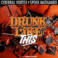 Thumbnail for the Spoek Mathambo - Drunk Like This (Remixes) link, provided by host site