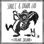 Thumbnail for the Digital Lab - Drunk Skunk link, provided by host site