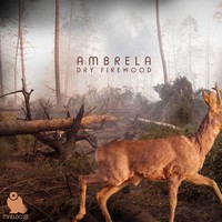 Thumbnail for the Ambrela - Dry Firewood link, provided by host site