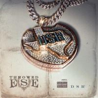 Thumbnail for the Throwed Ese - Dsr link, provided by host site