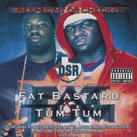 Thumbnail for the Fat Bastard - DSR Soldier link, provided by host site