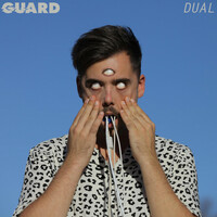 Thumbnail for the Guard - Dual link, provided by host site