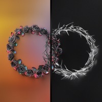 Thumbnail for the The Rose - DUAL link, provided by host site