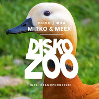 Thumbnail for the Mirko - Duck link, provided by host site