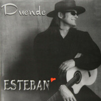 Image of Esteban linking to their artist page due to link from them being at the top of the main table on this page
