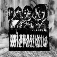 Image of Microwave linking to their artist page due to link from them being at the top of the main table on this page
