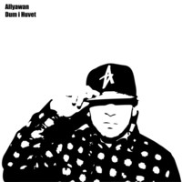 Thumbnail for the Allyawan - Dum i Huvet link, provided by host site
