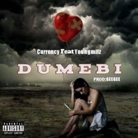 Thumbnail for the Currency - Dumebi link, provided by host site