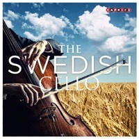 Thumbnail for the Mats Lidström - Duo in B-Flat Major for Cello and Piano link, provided by host site