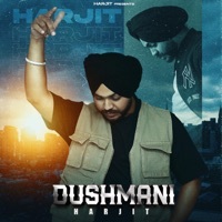 Image of Harjit linking to their artist page due to link from them being at the top of the main table on this page