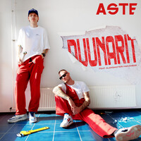 Thumbnail for the Aste - Duunarit link, provided by host site