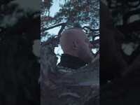 Thumbnail for the Wardruna - "Dvaledraumar" - The Goat's Willow Flute link, provided by host site