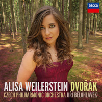 Thumbnail for the Antonín Dvořák - Dvořák link, provided by host site